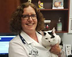 135 likes · 23 talking about this · 15 were here. Carmel Pet Wellness Clinic Pet Wellness Clinics