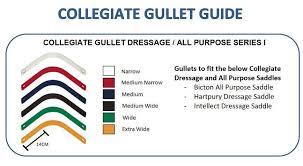 Collegiate Simple Quick Changeable Gullet System Bar
