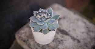 Marriage anniversary status for husband. 64 Happy Wedding Anniversary Wishes Quotes From Husband To Wife