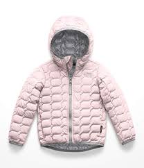 The North Face Toddler Thermoball Hoodie Mid Grey 5t