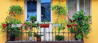 6 Best Balcony Wall Painting Ideas