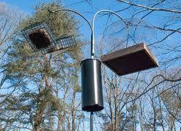 Bird Feeder Pole With Baffle Right Way To Baffle Feeders On A Pole Birdseed Binoculars Bird Feeder Baffle Squirrel Baffle Bird Seed