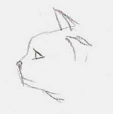 First draw four small marks for the height and width of the circle, then connect the marks using curved lines. How To Draw A Siamese Cat Profile Feltmagnet