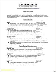 Summer Internship Accounting Student Resume For Internship Best Resume Examples