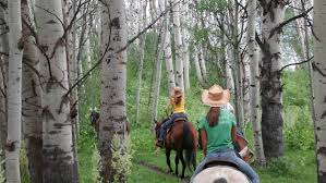 For the 2021 summer season, the headwaters horseback ride is not expected to operate. Horseback Riding In Colorado Colorado Com