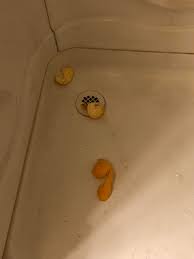 My boyfriend fingered me and there was bleeding a while back. Cherry Popped And It Was Lovely I Now Know The Only Way To Eat An Orange Is To Eat It In The Shower And Is Likely The Only Way I Ll Eat Oranges