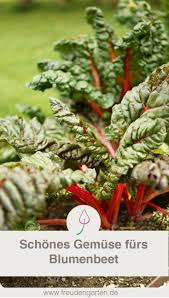 Gemuse Fur Das Blumenbeet Blumenbeet Garten Pflanzen
