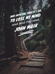10 John Muir Quotes To Inspire You To Take A Muir Woods Tour Nature Quotes Trees John Muir Quotes Short Nature Quotes