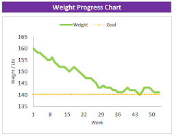 excel fitness tracker weight tracker for year 2019 2019