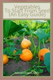 Sprinkle seeds on the paper towel. 120 Seed Germination Ideas In 2021 Seed Germination Gardening Tips Seeds