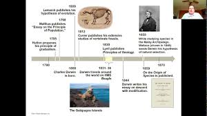 Descent with modification refers to the passing on of traits from parent organisms to their offspring. Descent With Modification Youtube