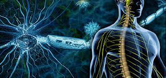 Gliosis is a nonspecific reactive change of glial cells in response to damage to the central nervous system (cns). Ø§Ù„ØªØµÙ„Ø¨ Ø§Ù„Ù„ÙˆÙŠØ­ÙŠ Ù…Ø§ Ù‡Ùˆ Ù…Ø§ Ø£Ø¹Ø±Ø§Ø¶Ù‡ ÙˆØ£Ø³Ø¨Ø§Ø¨Ù‡ ÙˆÙ…Ø§ Ù…Ø¯Ù‰ Ø®Ø·ÙˆØ±ØªÙ‡ Ø£Ù†Ø§ Ø£ØµØ¯Ù‚ Ø§Ù„Ø¹Ù„Ù…