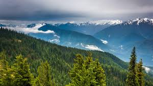 Olympic national park is an area of such variety in climate and terrain that it's hard to believe it's in 1938, president franklin roosevelt signed the bill that turned the national monument into a national. Olympic National Park Traverse Zach Relish Hoopes