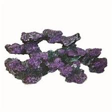 After booking, all of the property's details, including telephone. Fish Around Coral Rock Aquarium Rock Large Suitable For Tropical Marine Or Goldfish Tanks Buy Online In Bahamas At Bahamas Desertcart Com Productid 55047199