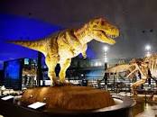 福井県立恐竜博物館がリニューアル