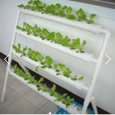This is a guide to making a homemade hydroponic system. Hot Sale Skyplant Diy Hydroponics Grow Kits Single Side Pvc Pipe Indoor Nft Hydroponic System Buy Indoor Small Size Hydroponic System Diy Hydroponic System Hydroponic Gardening Single Side Pvc Pipe Indoor Nft Hydroponic System
