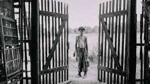 Based on the testimonies of survivors, it is the first feature film that deals with war crimes and atrocities that took place at the world war ii jasenovac concentration and extermination camp. Watch Trailer For The Painted Bird Oscar Shortlisted Holocaust Drama Vimooz