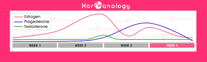 Estrogen is broken down along two pathways into two metabolites: Female Hormone Cycle What Goes On During Your Monthly Cycle