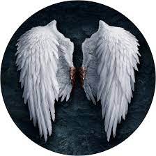 Check spelling or type a new query. Wings Aion Wiki Fandom