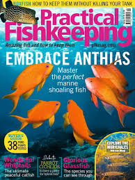 Our cheap essay writing service employs only writers who have outstanding writing skills. Practical Fishkeeping 2018 Vesna Pdf Fishkeeping Aquarium