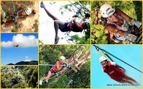 El área originalmente estaba conformada por tranquilas villas de en los jardines botánicos de puerto vallarta conocerás más acerca de la flora y fauna locales. Canopy Aventura Extrema De Vallarta Adventures