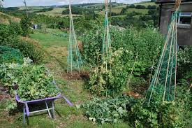 How about enjoying the best a starter beginner garden plan. Vegetable Gardening For Beginners A Complete Guide