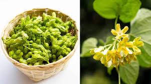 Image result for Telosma africana