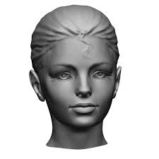 Free Zbrush Woman Head 3d Model Zbrush 3d Model Model