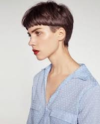 Roxanne Abel Gintz (abelgintz)