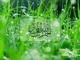 اللهم أعنا على ذكرك و شكرك وحسن عبادتك اللهم آمين يارب العالمين والصلاة والسلام على رسول الله صلى الله In 2020 Islamic Wallpaper Islamic Wallpaper Hd Quran Wallpaper