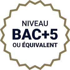 Check spelling or type a new query. Formation Mba Audit Et Controle De Gestion A Distance