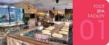 Then you have to see this. Cty Aquatic Pets Brand Shop
