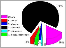 Image result for Gilbertiodendron dewevrei