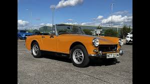 Image result for Snapdragon Yellow 1980 MG