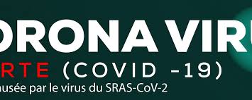 Worldcoronavirus monitor live coronavirus news and statistics with tracking, updates, symptoms and latest information on the latest covid19 deaths, cases and recoveries. Sensibilisation Au Virus Corona Covid 19 Que Peuvent Faire Les Bibliothecaires Africains African Library Information Associations Institutions