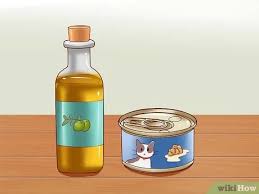 Fish oils will be more appealing to most cats, but olive or vegetable oil will do the trick just fine. 3 Ways To Cure A Cat Of Constipation Wikihow