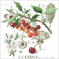 I loved all the patterns in it.i have just started cross stitching and am enjoying it. Botanical Study Counted Cross Stitch Patterns And Charts