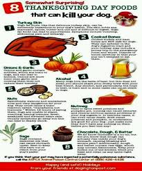 Thanksgiving Day Foods That Can Kill Your Dog Important Info For Your Dog S Health And Life Dog Food Recipes Pet Holiday Pet Hacks