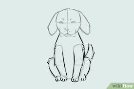 Next do the same thing to the other two legs and paws. Dog Sitting Drawing Side View Dunia Belajar