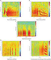 Frontiers | Fish Acoustic Detection Algorithm Research: a deep learning app  for Caribbean grouper calls detection and call types classification