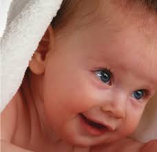 2014 Northern Colorado Medical Directory