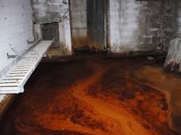 Removal & killing, remediation & cleaning, preventing, causes such as floods & leaks, signs such as smell & damp, mold on walls. Water Damage Causes Mold Growth In Basements Mold Facts