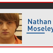 Genoa teen charged in connection to fatal Nance County crash