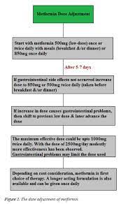 Metformin And Its Gastrointestinal Problems A Review