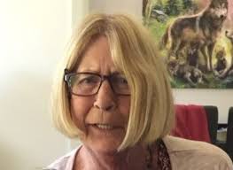 Susan Lee Malczynski Obituary