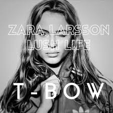 In my opinion, this is without a doubt the best pop song of recently and nearly ever other song pales in significance to this mint tune, because it is a truly awesome song! Zara Larsson Lush Life T Bow Remix By T Bow