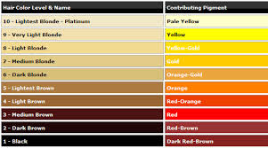 Wella Toner Chart For Orange Hair Www Bedowntowndaytona Com