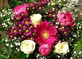 Thus, by gifting a bouquet with different types and colors of flowers, a whole message can be conveyed to. Popular Types Of Flowers On Valentine S Day