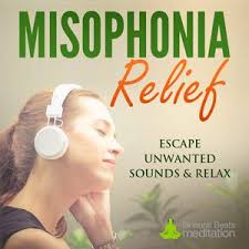 Binaural Beats Tinnitus Relief Meditation Instant Download Misophonia Tinnitus Relief Scientific Psychology