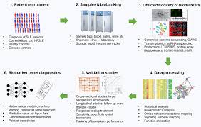 Frontiers | Emerging Molecular Markers Towards Potential Diagnostic Panels  for Lupus